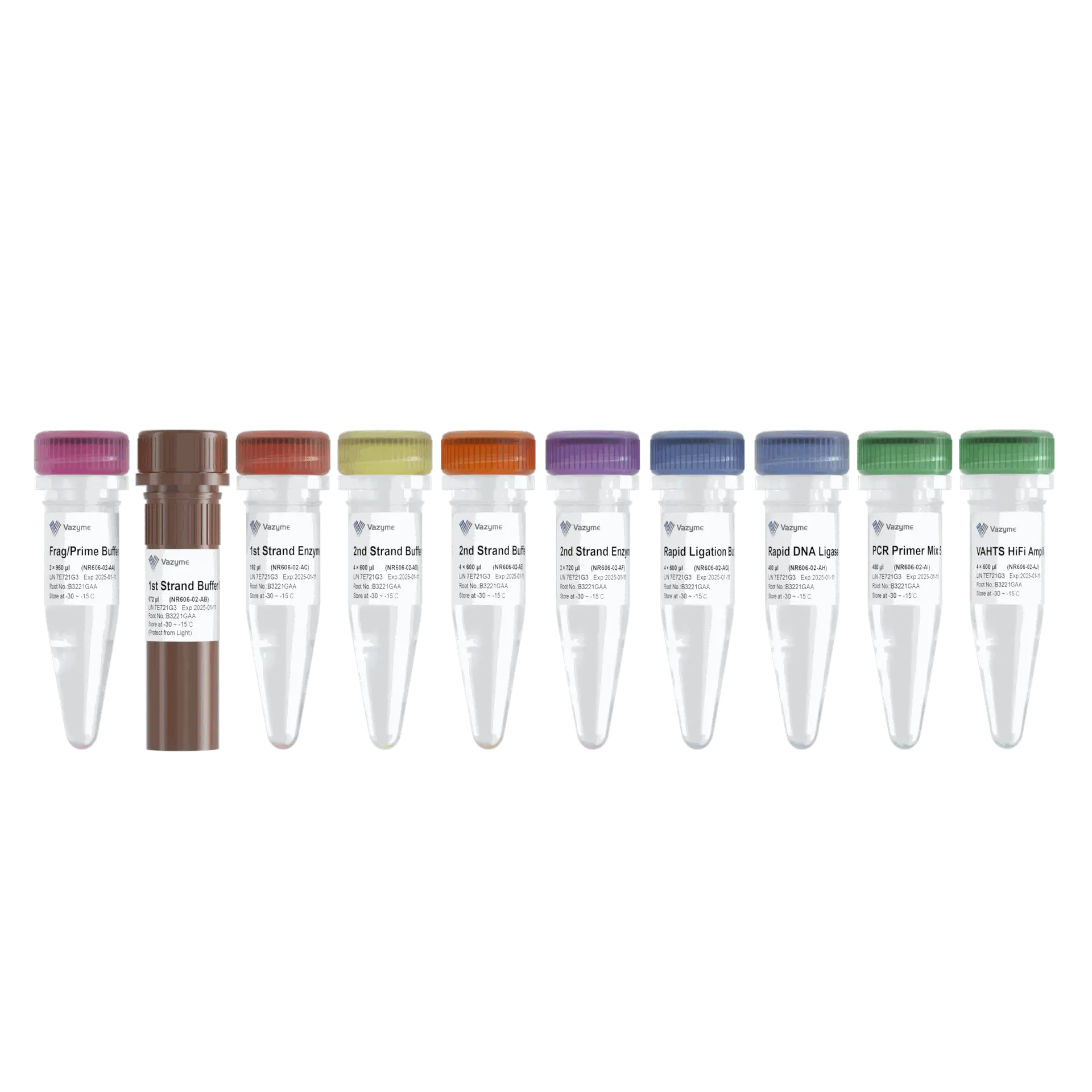 VAHTS Universal V10 RNA-seq Library Prep Kit for Illumina - 96T