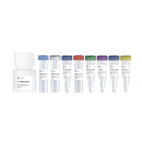 Hyperactive Universal CUT&Tag Assay Kit dla Illumina Pro - 12 reakcji